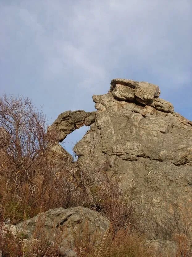 Казанцево Курьинский район. Курьинский район Алтайский край. Новофирсово Алтайский край Курьинский район. Село Казанцево Курьинский район природа. Устьянка локтевский алтайский край