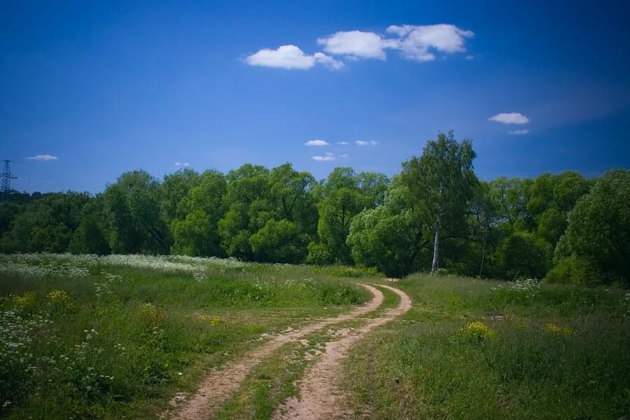 Фотография родного края. Родной край. Природа нашего края. Родные края. Родная природа.