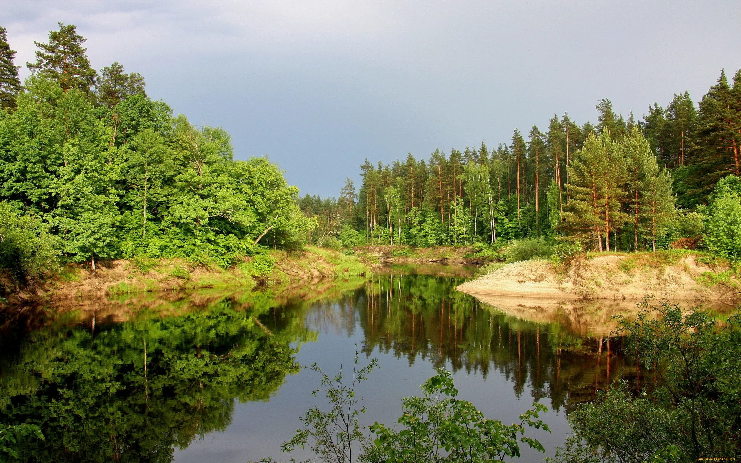 Река окруженная лесом