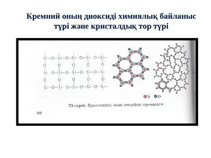 Параллель торлардағы жалаңаш әйелдің суреті