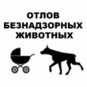 Заявки на отлов безнадзорных животных