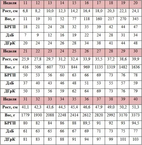 Вес плода в 20 недель беременности норма таблица. Таблица размеров плода по УЗИ 3 триместра. Вес и рост плода по неделям беременности норма. Параметры плода на 32 неделе беременности норма по УЗИ.