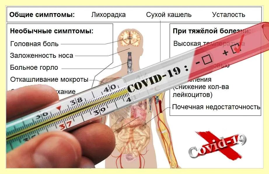 Орви 37 2. Температура при коронавирусе сколько держится дней. Сколько держится температура при коронавирус. Сколькомерится температура. Температура при коронавирусе у взрослого.