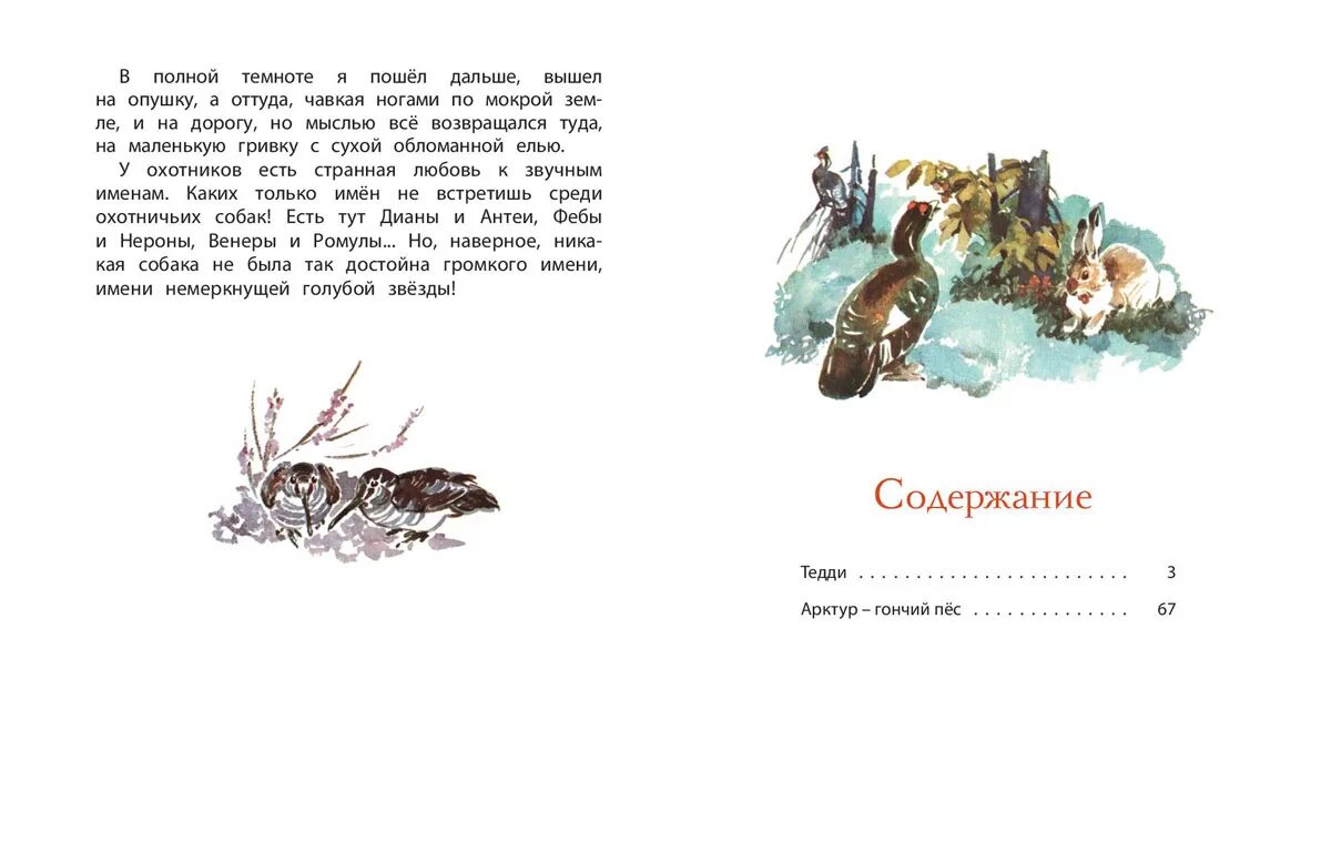 Собака сколько страниц. Книга Казаков Арктур гончий пес. Ю.Казакова произведение Арктур-гончий пес.