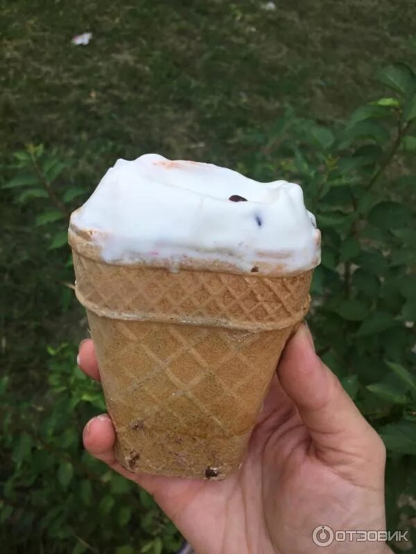 Стаканчик мороженого грамм. Мороженое Ласунка стаканчик. Мороженое Ласунка стакан великан. Пломбир в стаканчике. Мороженое в стакане.