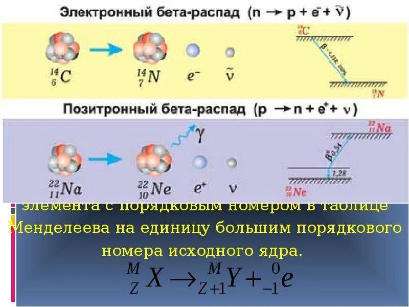 Электронный бета распад альфа распад. Схема позитронного бета распада. электронный и позитронный бета распад. схема электронного бета распада. бета минус распад распады.