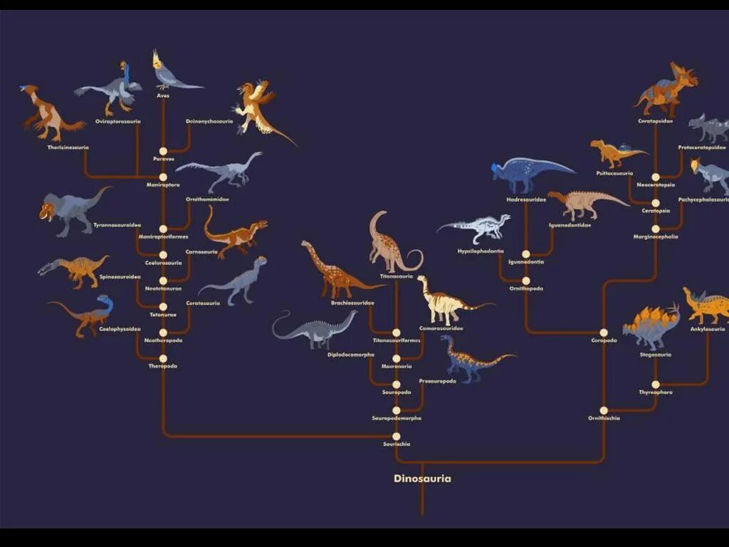 Филогенетическое Древо динозавров. Кладограмма динозавров. Эволюционное Древо архозавров. Древо динозавров. Млекопитающие древо