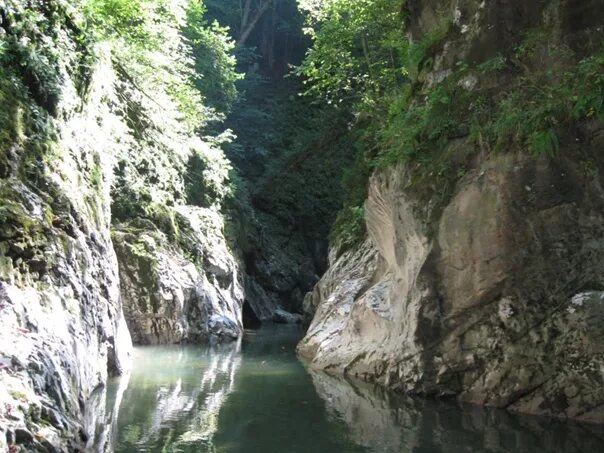 Кировский краснодарский край. Псебай водопады. Капустинский водопад Псебай. Никитинский водопад Мостовской. Кавказский заповедник Никитино.