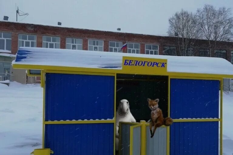 Погода рп5 белогорск тисульского. Погода рп5 белогорск тисульского. Пгт белогорск кемеровская. Погода рп5 белогорск тисульского. Посёлок городского типа белогорск.