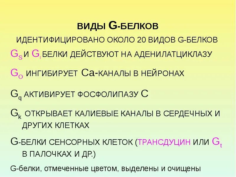 Бесклеточная система трансляции. Строения интегральные белки мембран. Механизм действия g белка. G белок виды. Селективные белки.