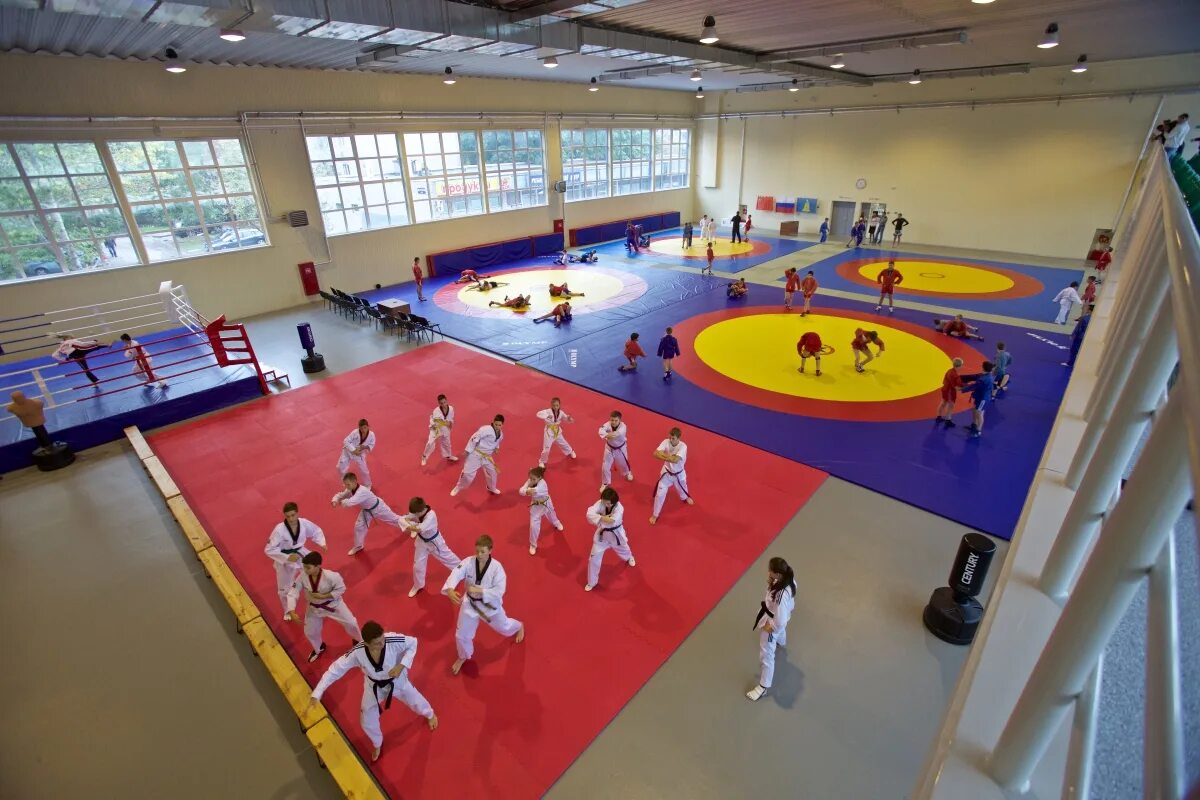 Антон ермаков реутов. Физкультурно оздоровительный комплекс реутов. Фок невзорова реутов. Антон ермаков фок реутов. Фок реутов 2022.