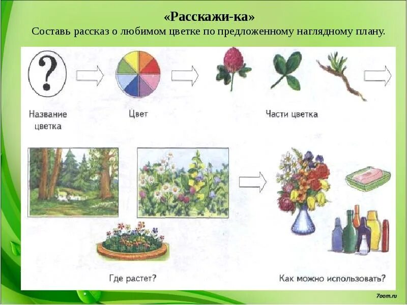 Развитие речи средняя группа растения