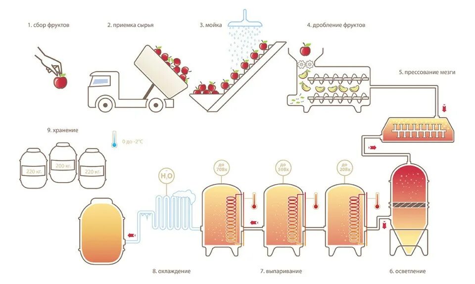 Технологическая линия производству томатной пасты. Технология производства яблочного сока прямого отжима. Схема производства концентрированного сока. Технологическая схема производства плодово-ягодных вин. Способы хранения и переработки сырья