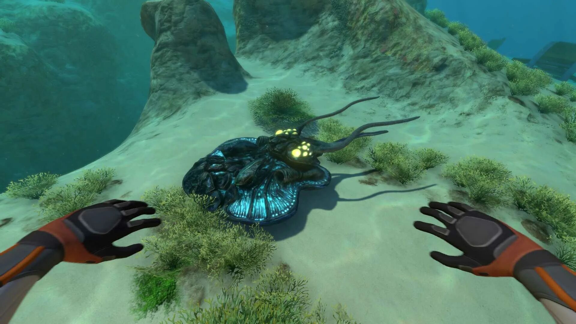 Рука захват краба. Тристворник Subnautica. Реджинальд сабнатика. Левиафан сабнатика. Сабнатика краб Левиафан.