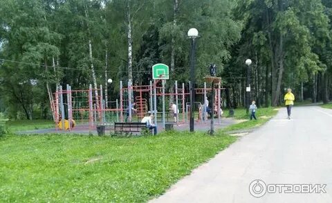 Сестрорецком парке клина