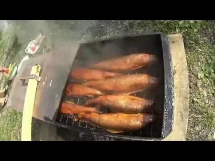 Горячее копчение рыбы щуки