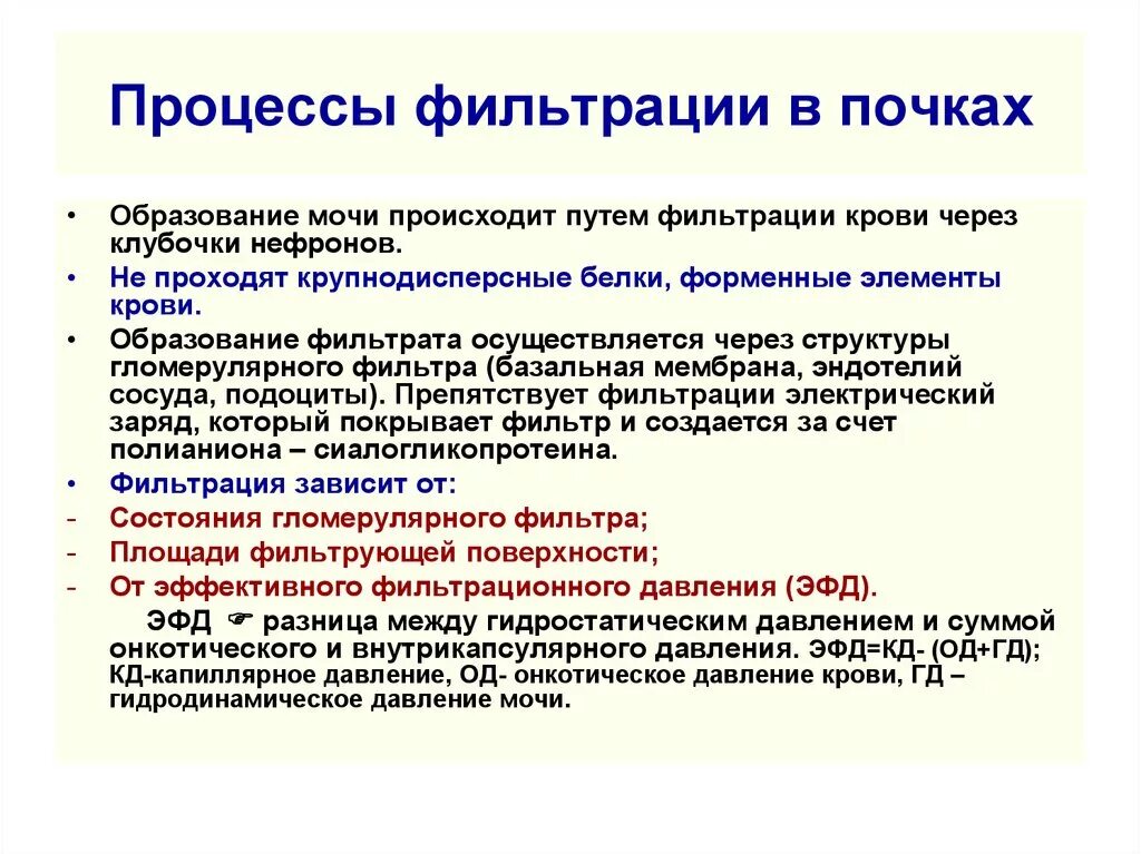 Процесс фильтрации в почках происходит в