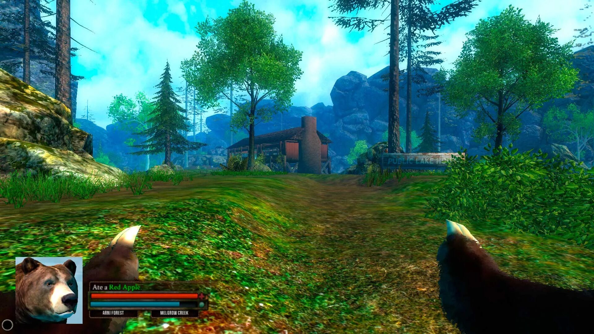 Компьютерная игра с медведем. Бесплатные игры про медведей. Игра на андроид про медведя. Симулятор медведя. Симулятор природы.
