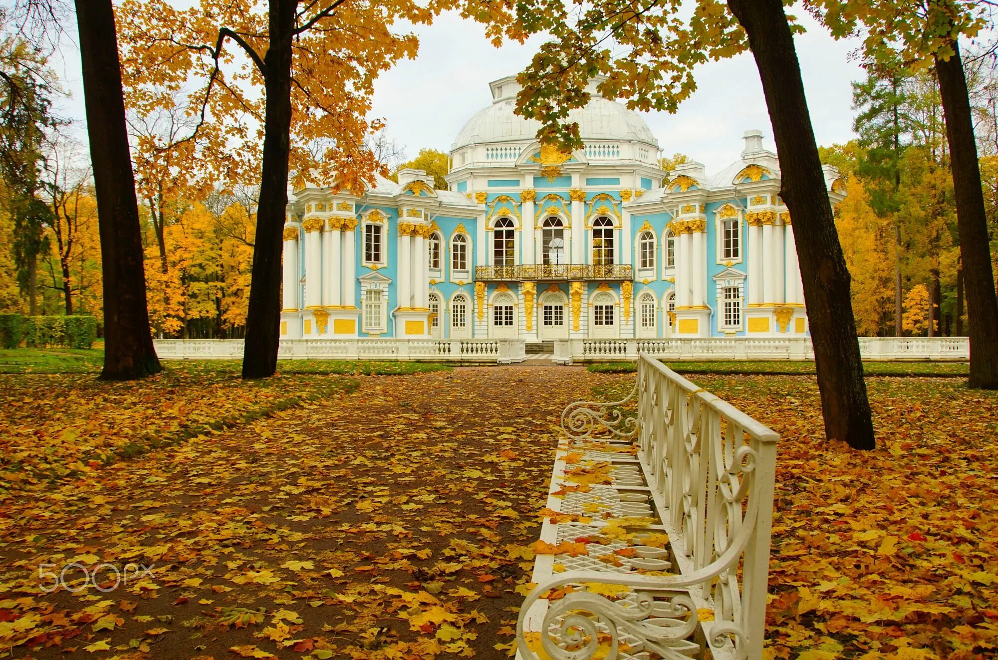 Жить в царском селе. Царскосельский лицей Екатерининский парк. Лицей Царскосельское село Пушкин. Царское село Пушкин Золотая осень лицей. Екатерининский парк Царское село осень.