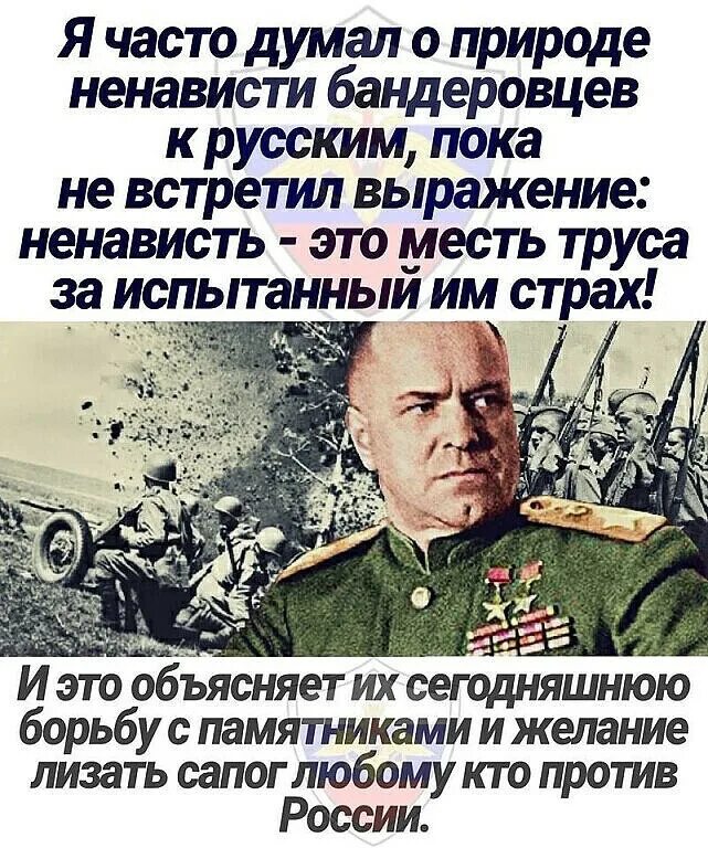 Ненавижу быть русским. Жуков о бандеровцах цитата. ненависть месть труса за испытанный страх. фразы про ненависть. я часто думал о природе ненависти бандеровцев к русским.