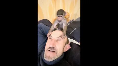 Люся последние видео