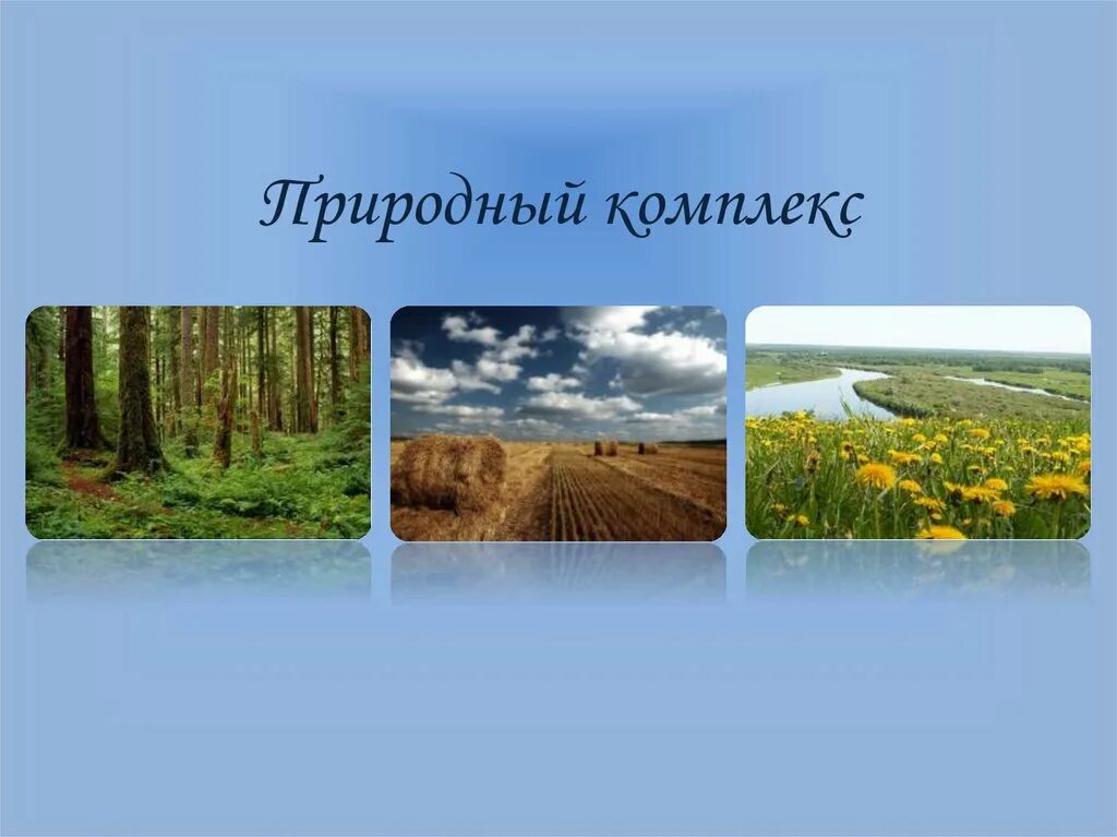 Выберите локальный природный комплекс. Природные комплексы. Природный комплекс презентация. Природные комплексы Новосибирской области. Локальные природные комплексы.