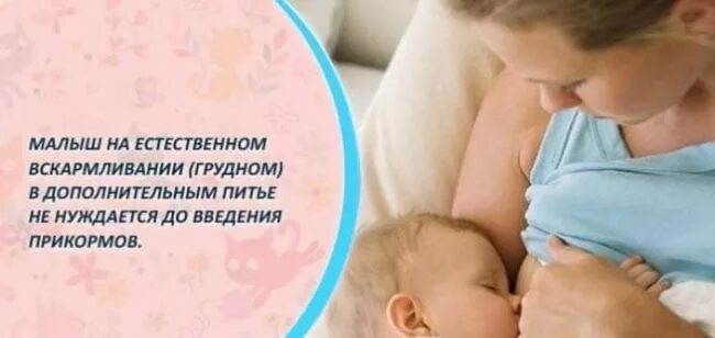 Со скольки месяцев давать воду новорожденным. Вода грудничку при грудном вскармливании. Когда нужно давать воду новорожденному при грудном вскармливании. Вода для младенцев на грудном вскармливании. Вода при грудном вскармливании ребенку нужна ли.