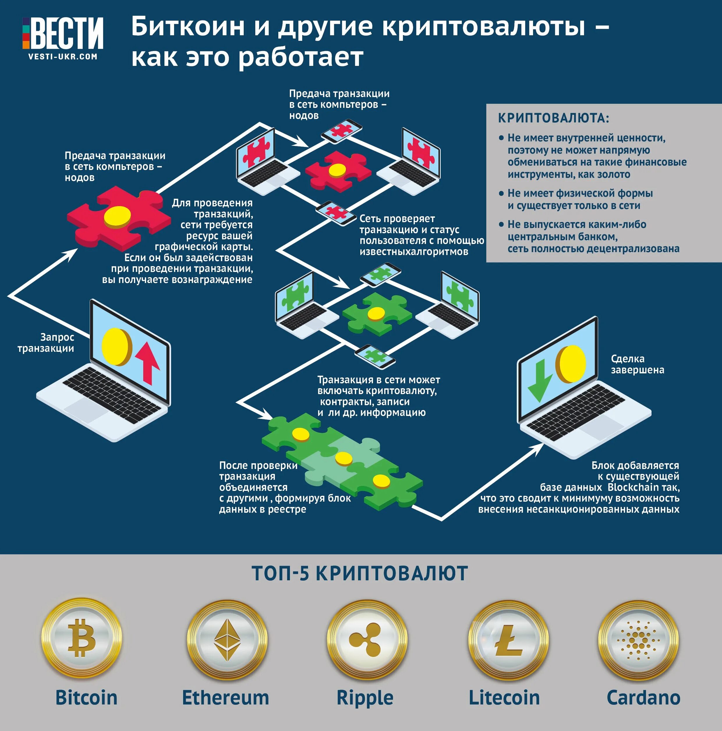 Как работает криптовалюта. Криптовалюта это простыми словами. схема криптовалюты. функции криптовалюты. криптовалюта схема.