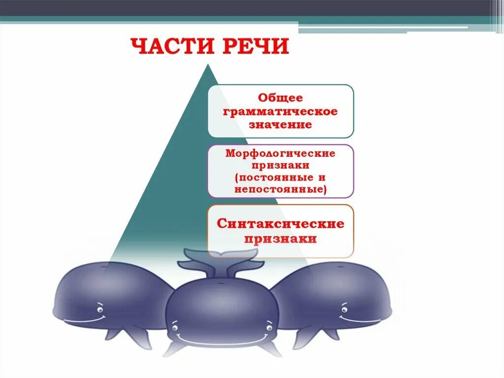 Повторение морфологии
