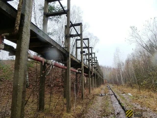 Тула военный городок. Военный городок Тула 50 фото. ВЧ Тула 50. Заброшенный военный городок Тула 50. Тула 50 сайт