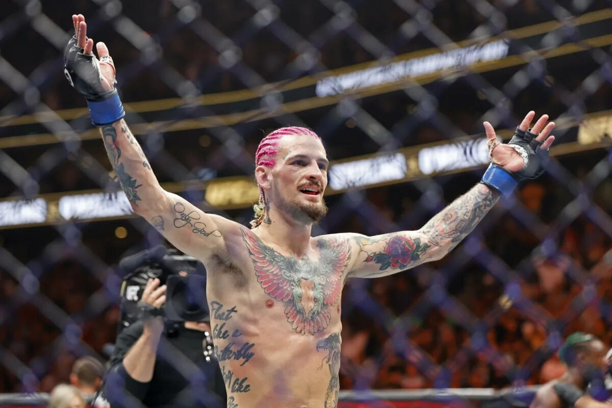 Шон о мели бой. Шон о’мэлли. шон о’мэлли боец. шон о’мэлли  боец ufc. мма шон о мэлли.
