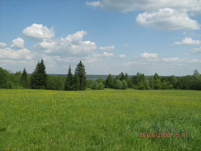 согласие на продажу земельного участка. земельный участок. согласие на продажу квартиры образец. продать земельный участок несовершеннолетнего. продать земельный участок несовершеннолетнего.