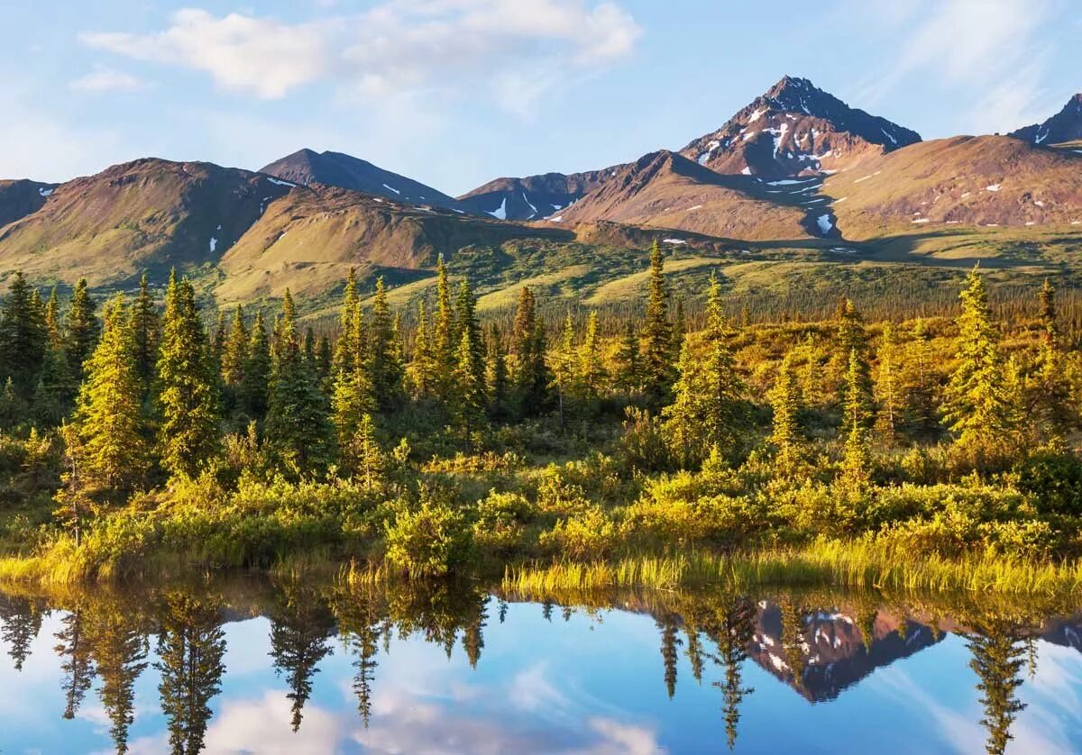 Alyaska. Штат Аляска природа. Аляска Анкоридж природа. Аляска (штат США). Северная Америка Аляска.