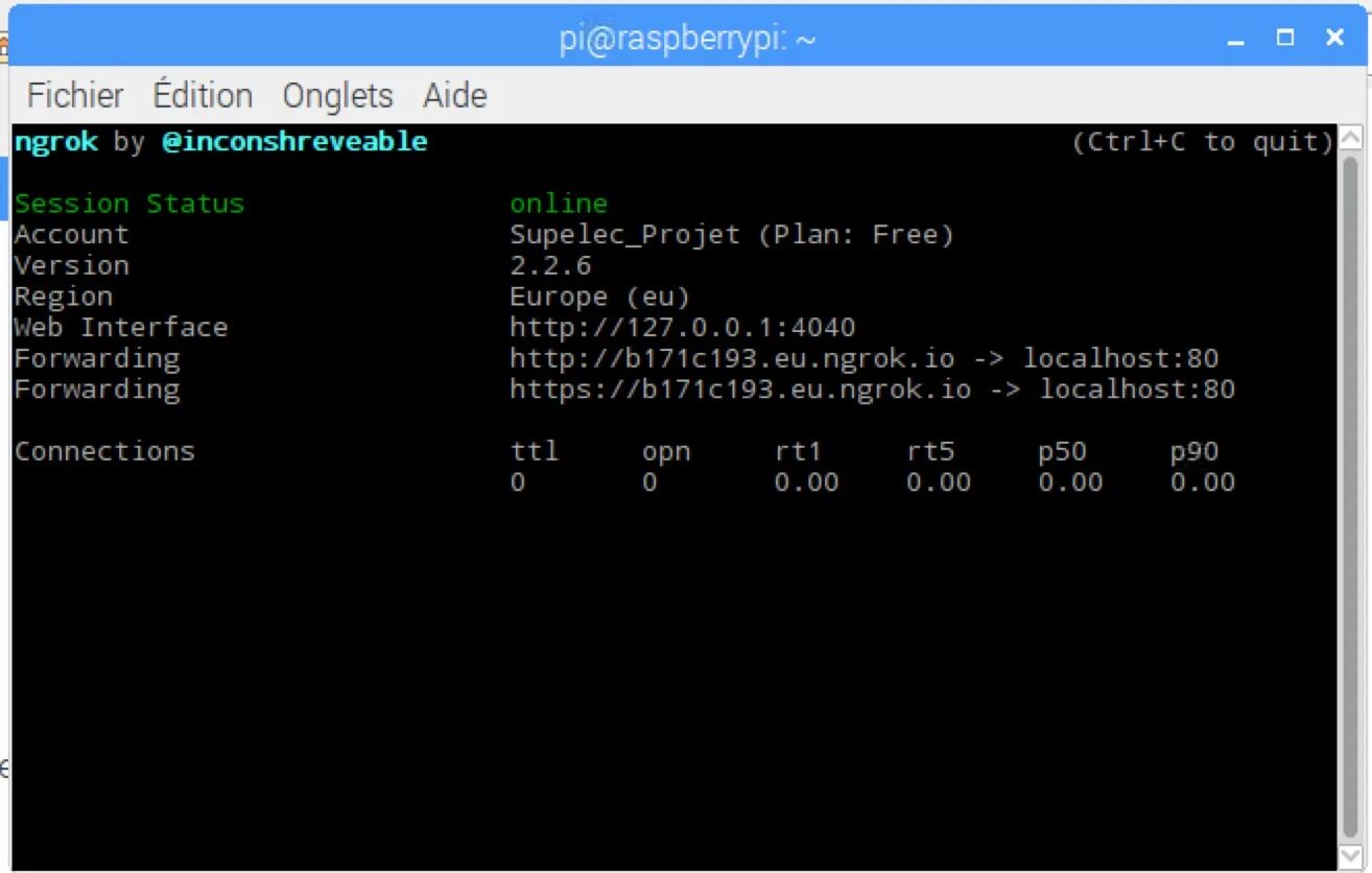 Ngrok how it works. Как получить айпи ngrok. Бесконечный порт ngrok. Ngrok. Tcp eu ngrok io.