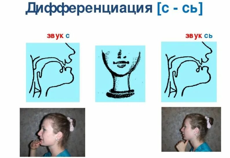 Профиль звука с. Различение звуков с и сь. Артикуляция звука сь. Профиль артикуляции звука з.