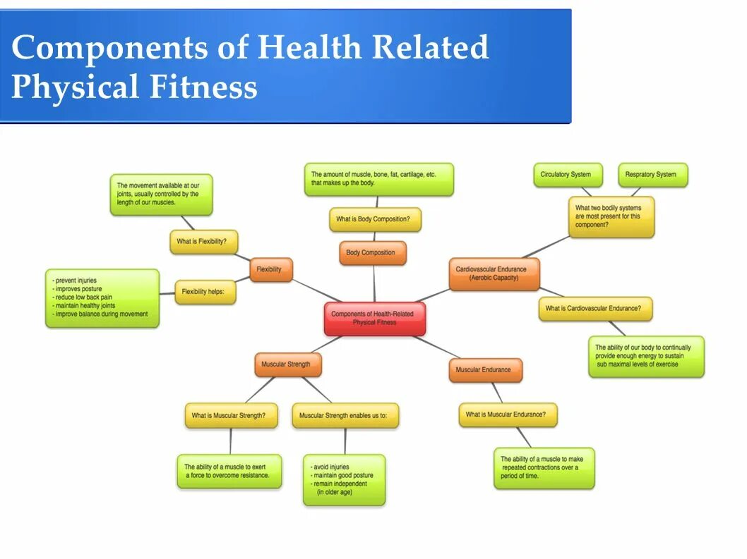 5 component. Классификация фитнес программ. physical health components. классификация фитнес программ схема. готовая карта персонажа маркетинг фитнес.