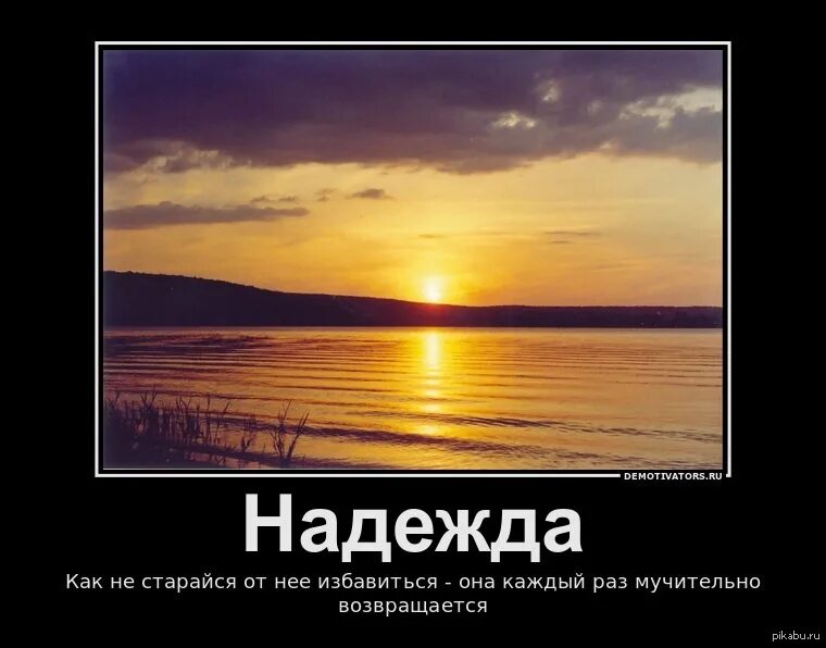 Фразы про надежду. Цитаты про надежду. Шутки про надежду. Всегда есть на что надеяться