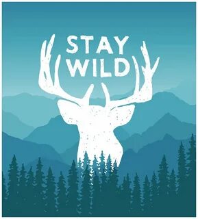 Stay wild