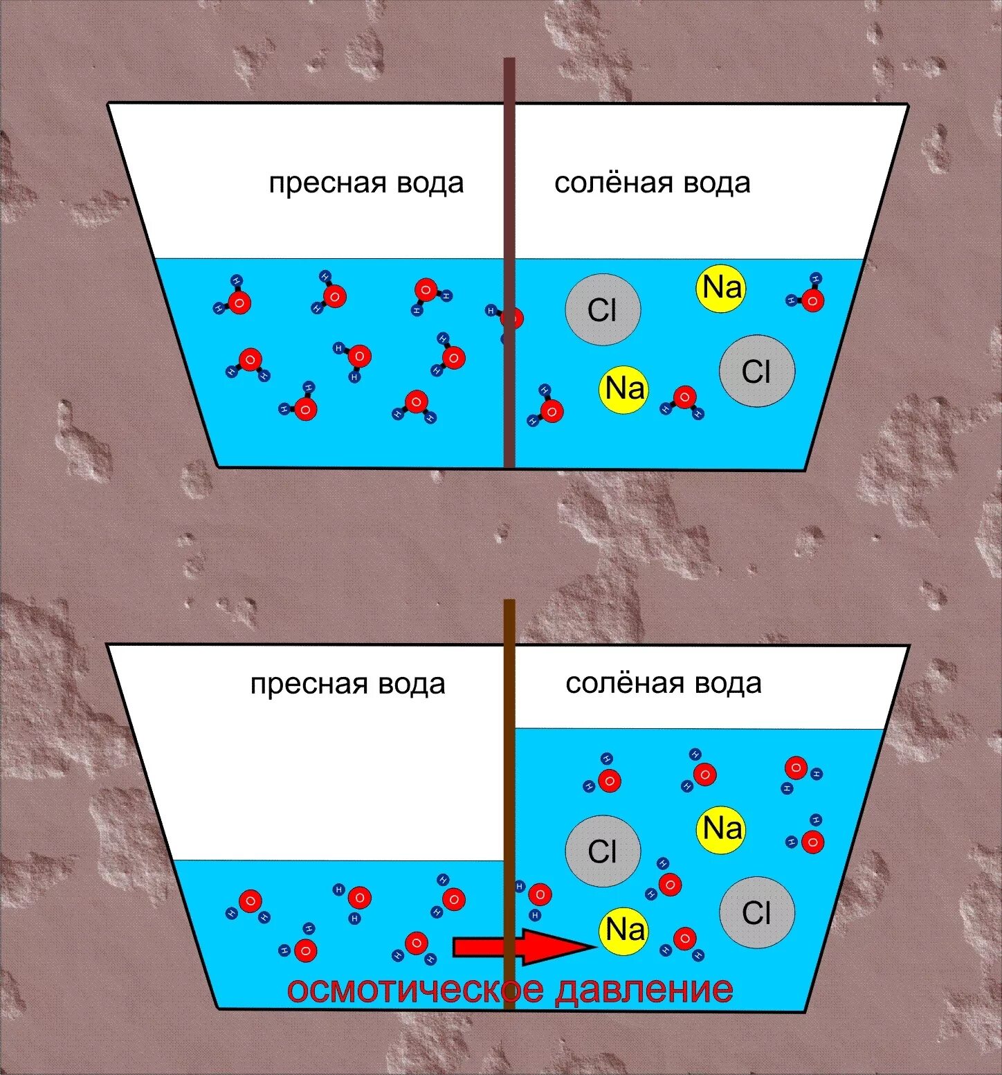Осмотическое давление соли. Осмотическое давление воды. Осмотическое давление жидкости. Осмос. При давлении можно соленое