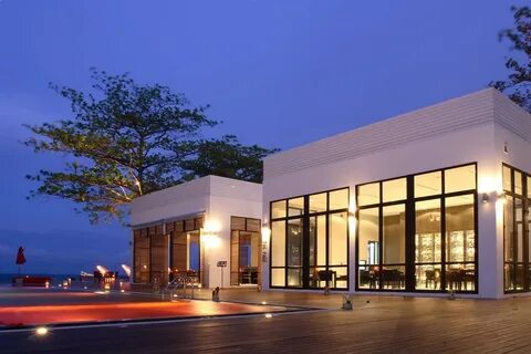 The library 5