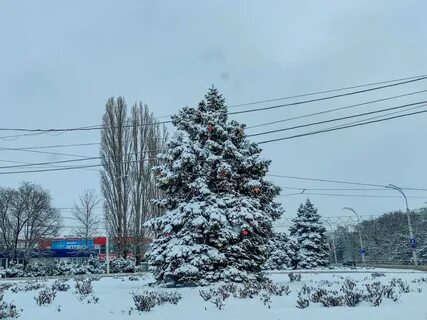 Прогноз волгодонск