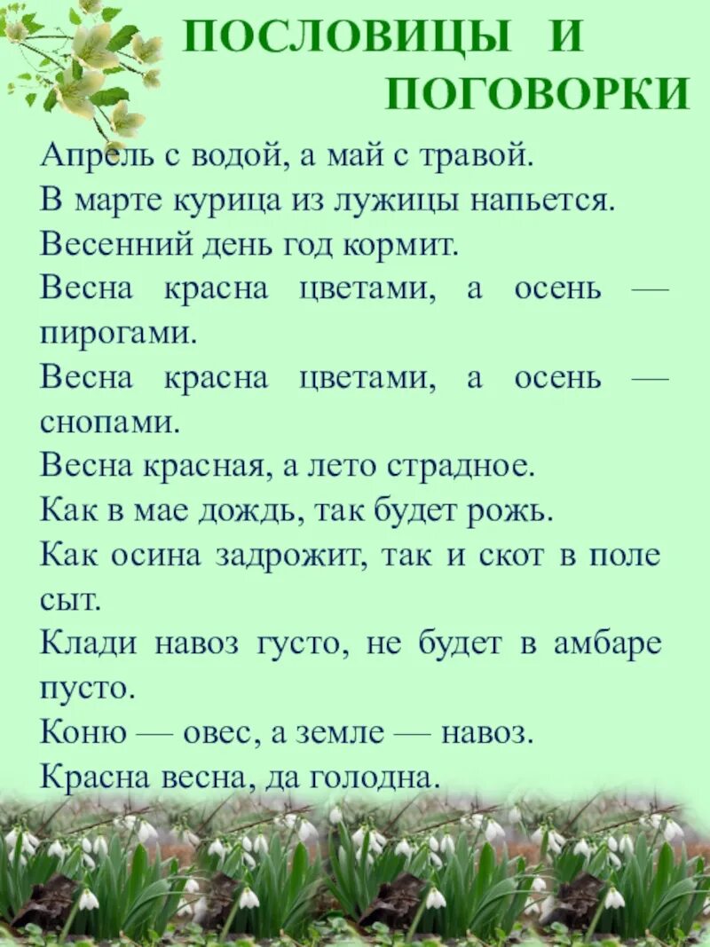 Весенние поговорки. Поговорка апрель с водой май с травой. Март с водой апрель с травой пословица.