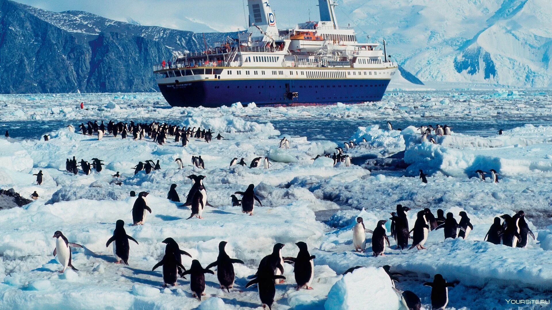 Антарктида путешествие цена. Ушуайя Антарктида круизы. Арктика Антарктика Антарктида. Калипсо Кусто в Антарктиде. Жак Кусто в Антарктиде.
