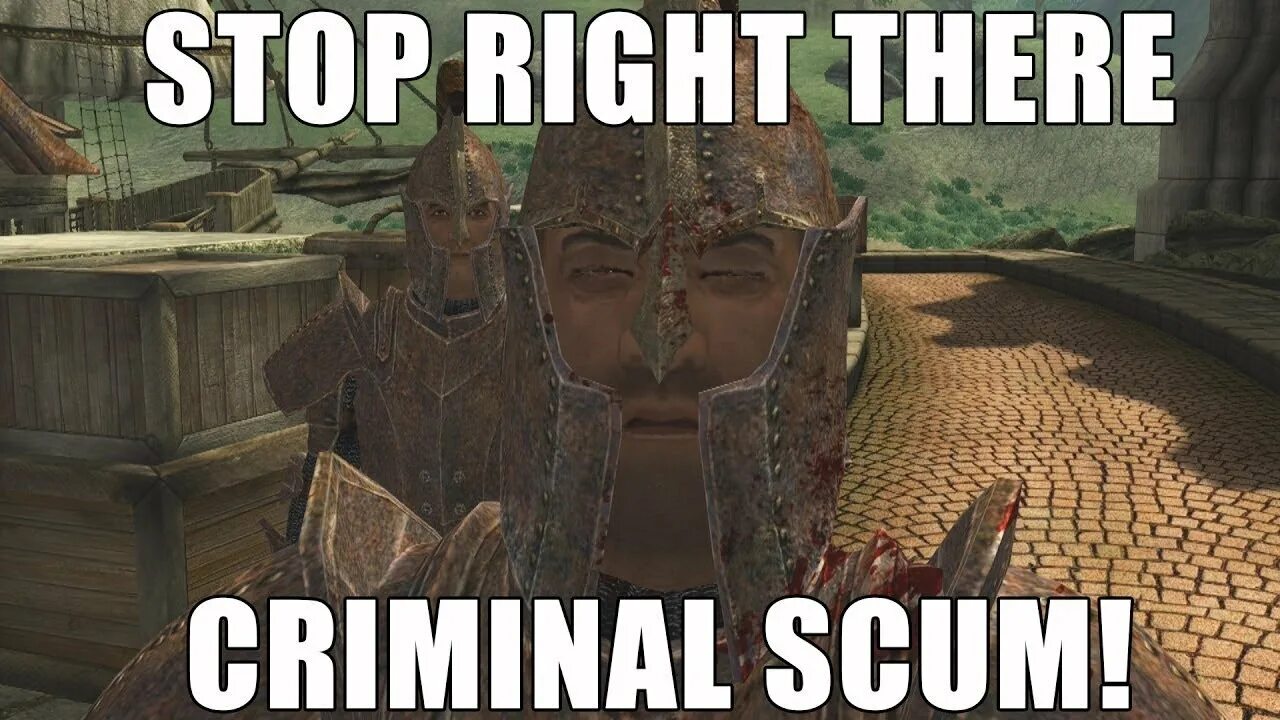 Stop you to write. Stop right there criminal scum. мем stop right there. обливион мемы. обливион стражник.