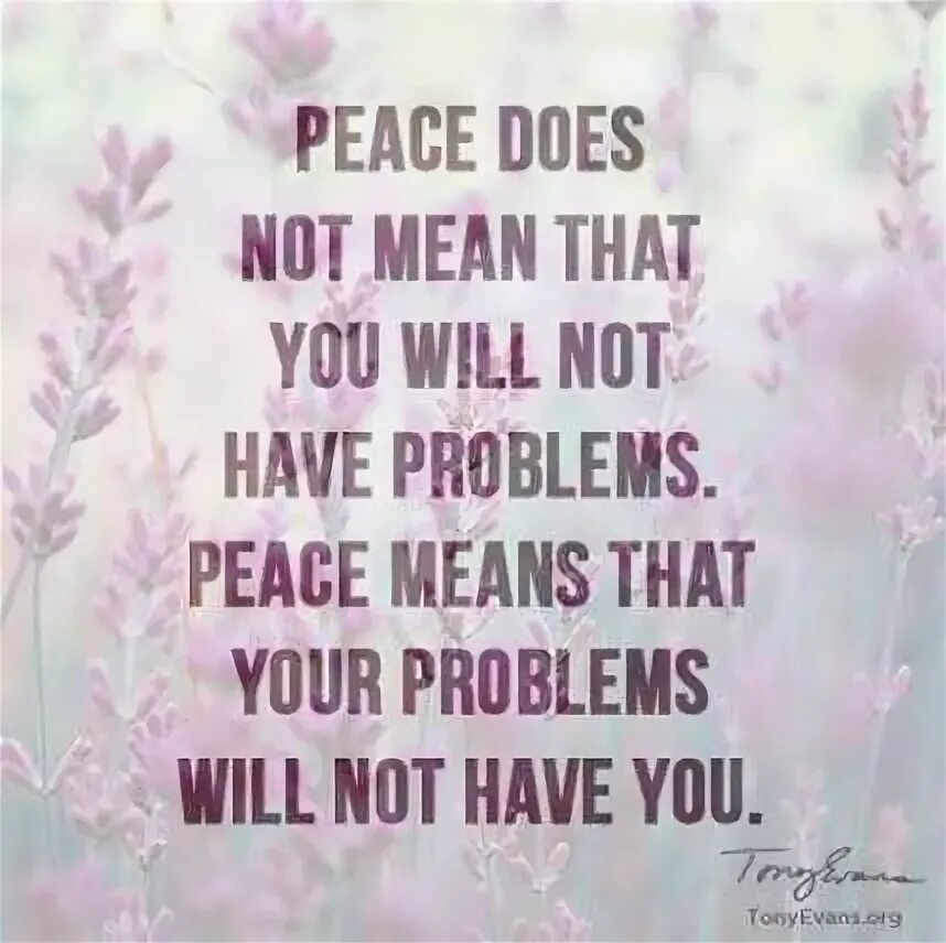 Not mean that you have. Not mean that you have. Not mean that you have. Not mean that you have. Interested in politics.