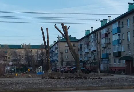 Новости какие нибудь