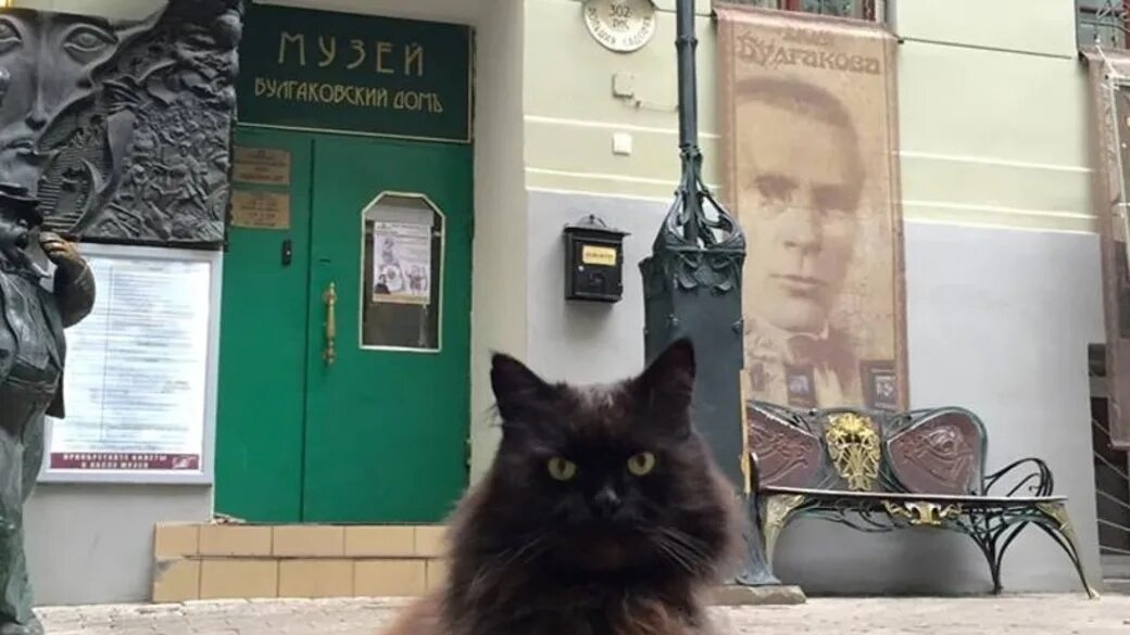 Кот бегемот березовский. Кот бегемот березовский