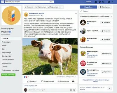 Похожую страницу