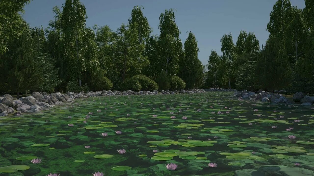 Itoo forest