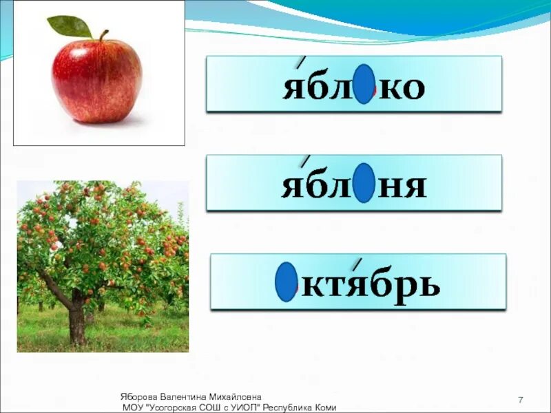 Яблоньки 2. Словарное слово яблоня в картинках. Яблоня словарное слово для детей. Яблоня это словарное слово или нет. Образование слова яблоко.